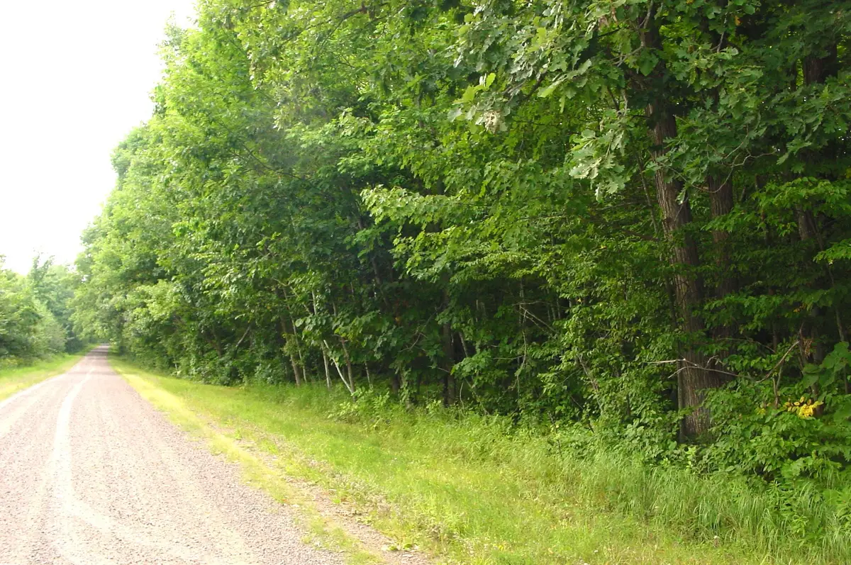 80 Acres on Bailey Road, Bruce, WI 54819 - #1