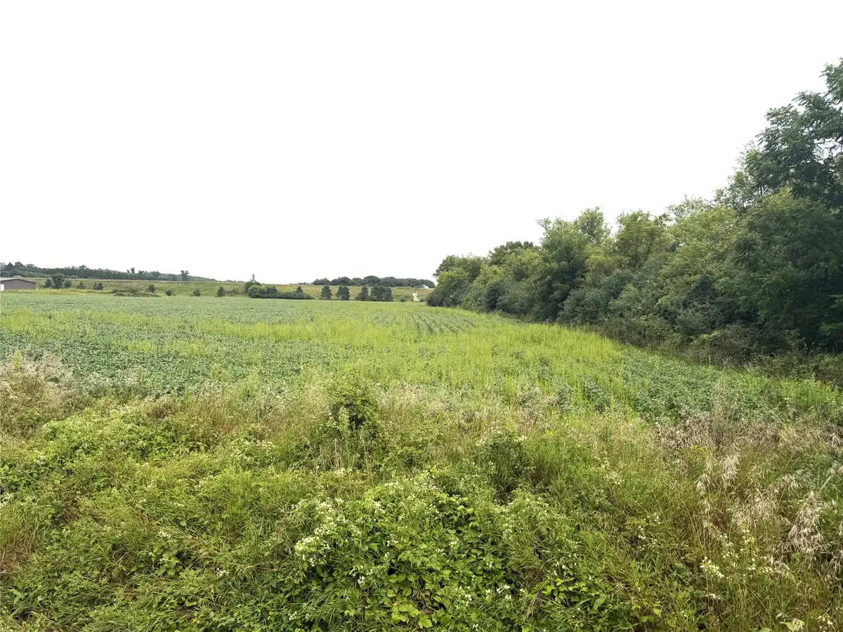 Lot 4 Van Tassel Rd, Osseo, WI 54758 - #1