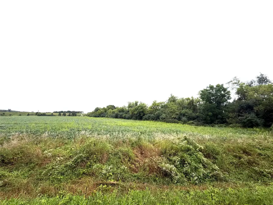 Lot 4 Van Tassel Rd, Osseo, WI 54758 - #2