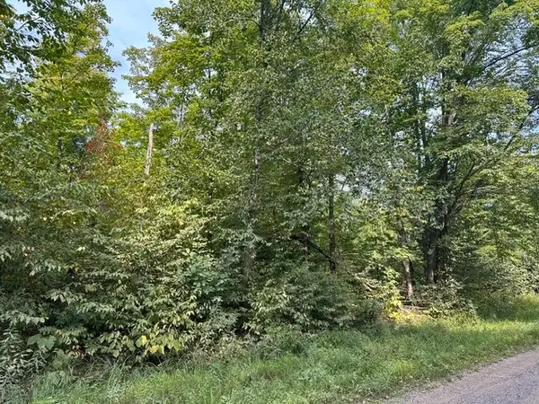 0 Helsing Road, Ojibwa, WI 54862