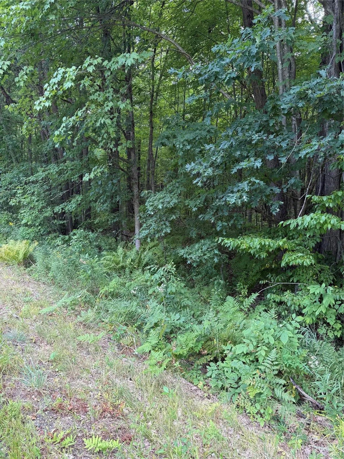 00 S County Road G, Boyd, WI 54726 - #1