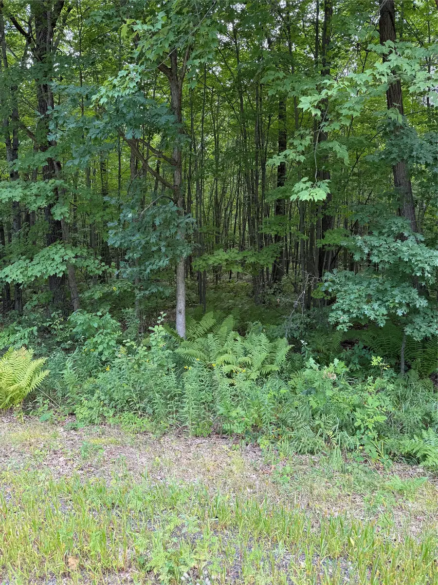 00 S County Road G, Boyd, WI 54726 - #2
