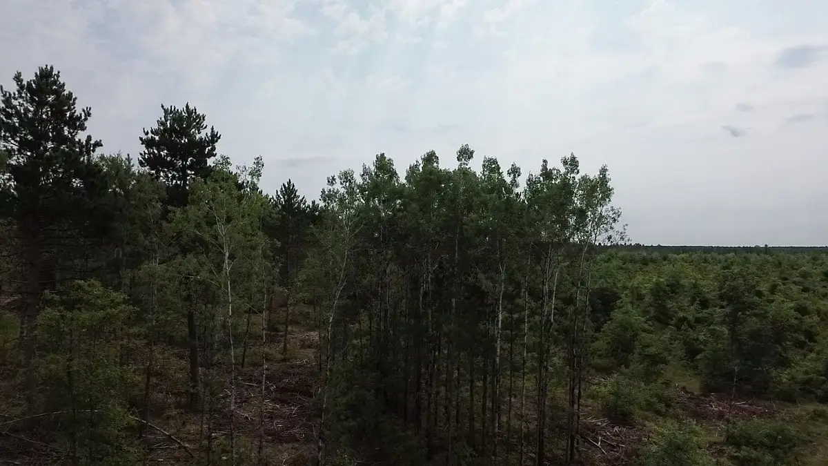 22XX Tomahawk Lake Road, Barnes, WI 54873 - #1