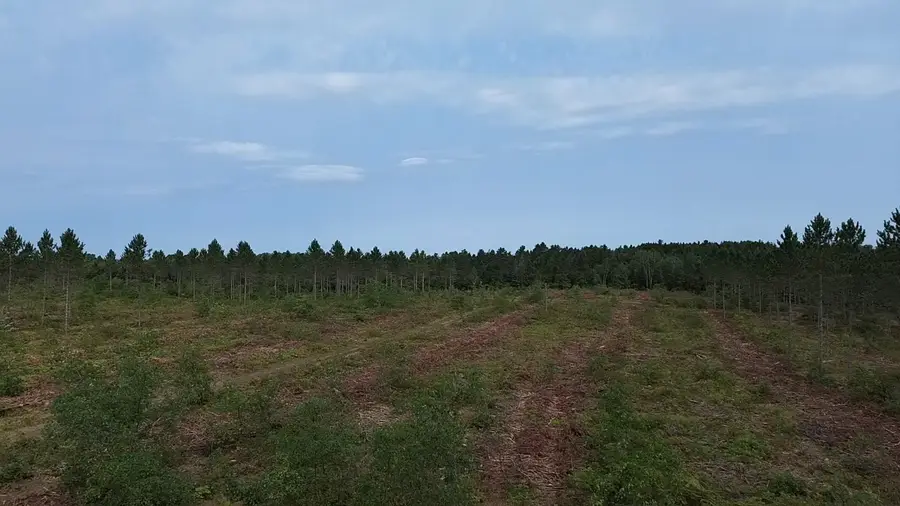 212X Ellison Lake Road, Barnes, WI 54873 - #3