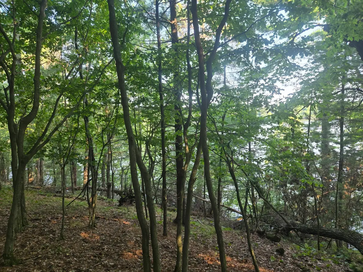 Lot 2 75th Ave, Chippewa Falls, WI 54729 - #1
