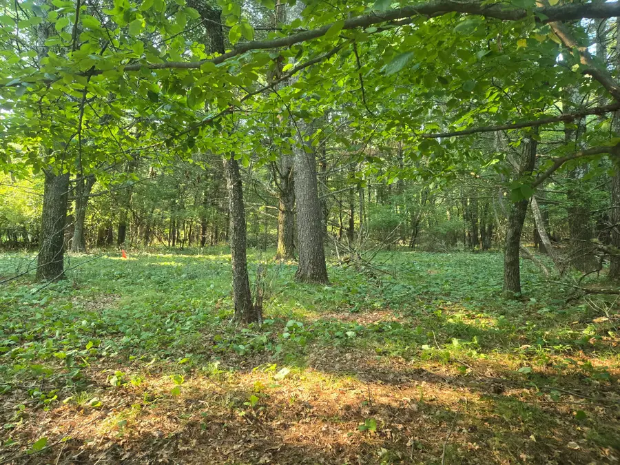 Lot 2 75th Ave, Chippewa Falls, WI 54729 - #3