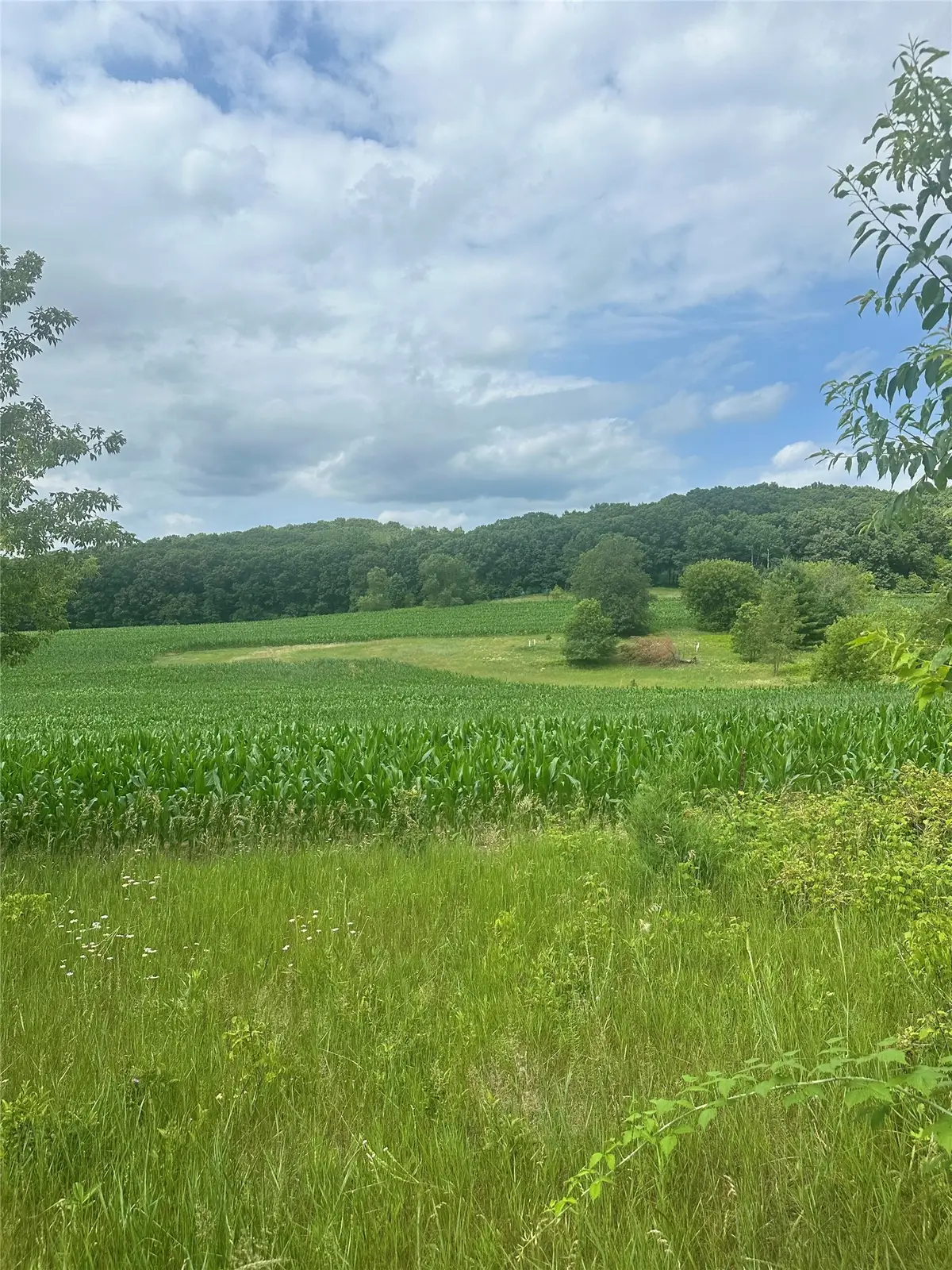 10925 S Hemlock Road S, Mondovi, WI 54755 - #1