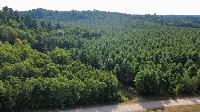 N12669 Monthei Road, Alma Center, WI 54611 - #2