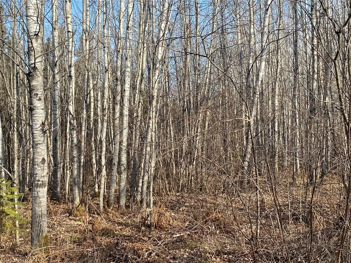 Near Jackson Road, Lake Nebagamon, WI 54849 - #1