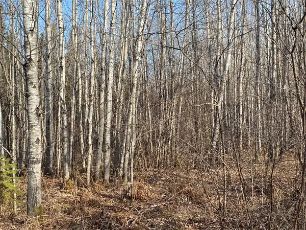 Near Jackson Road, Lake Nebagamon, WI 54849