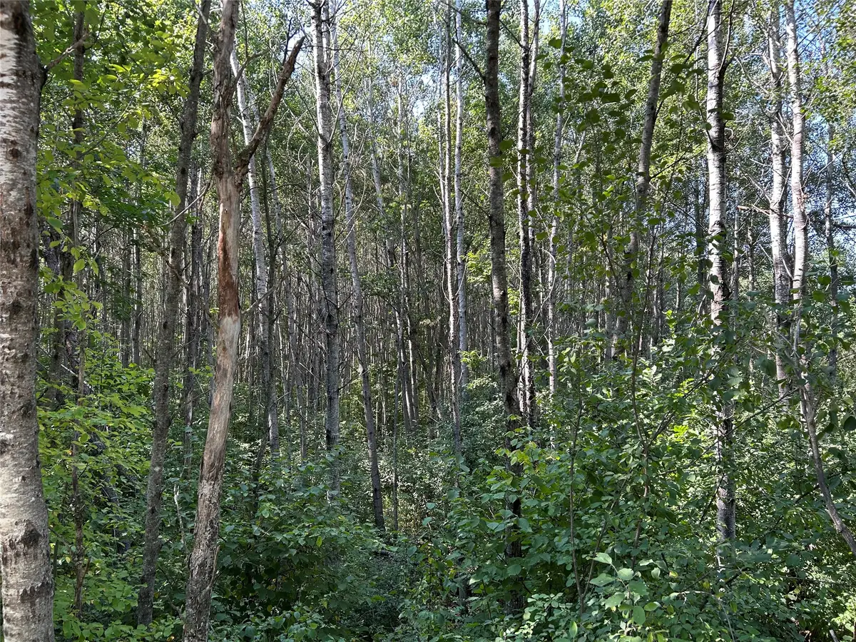Near Town Line Road, Bennett, WI 54873 - #1