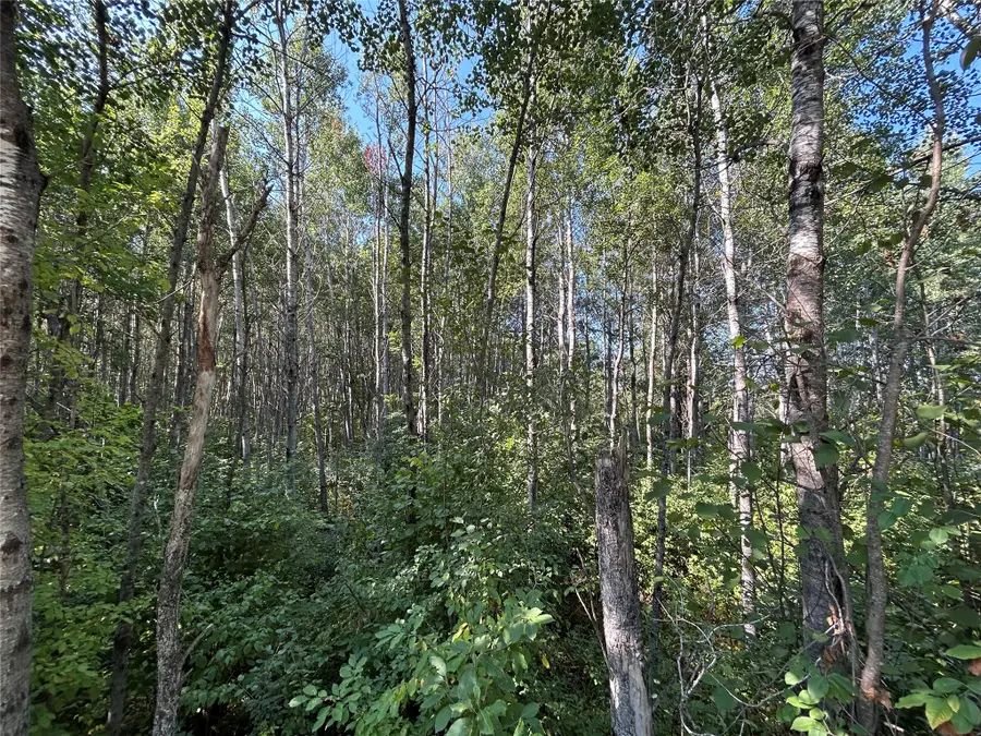 Near Town Line Road, Bennett, WI 54873 - #3