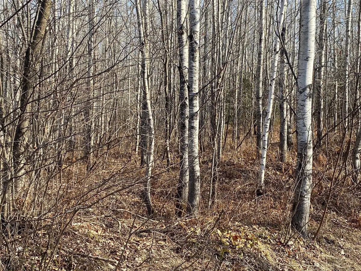 Near Bennett Road, Lake Nebagamon, WI 54849 - #1