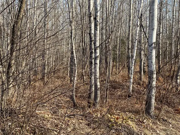 Near Bennett Road, Lake Nebagamon, WI 54849
