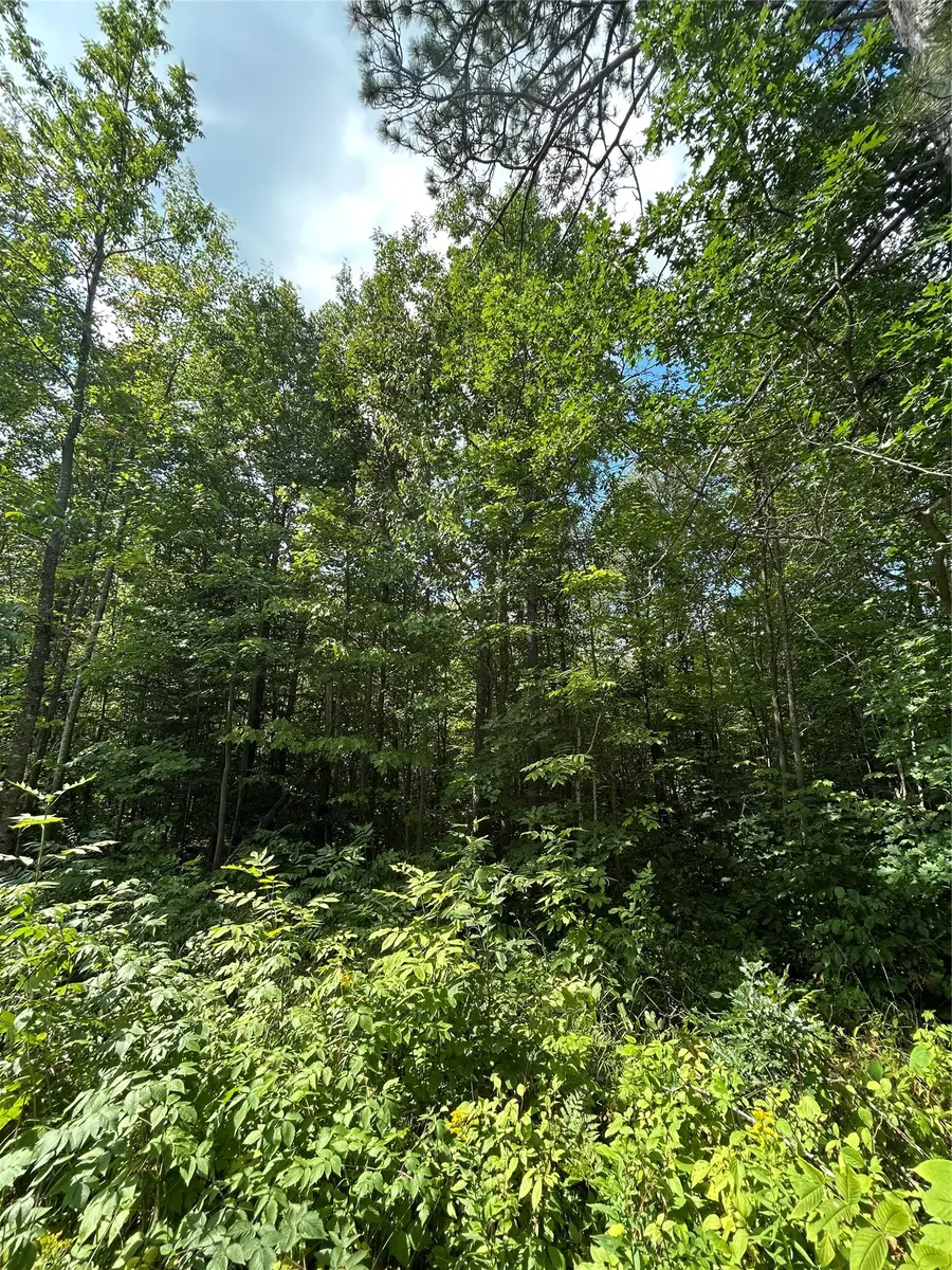 On Priest Road, Washburn, WI 54891 - #3