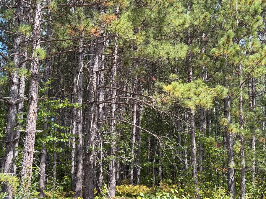 On Dark Corner Road, Ashland, WI 54806 - #3