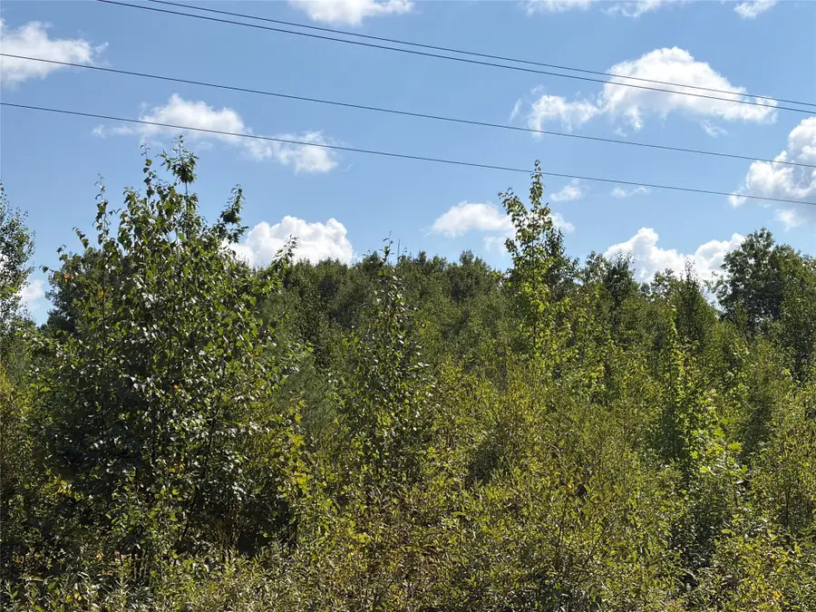 On Holmes Road, Ashland, WI 54806 - #3