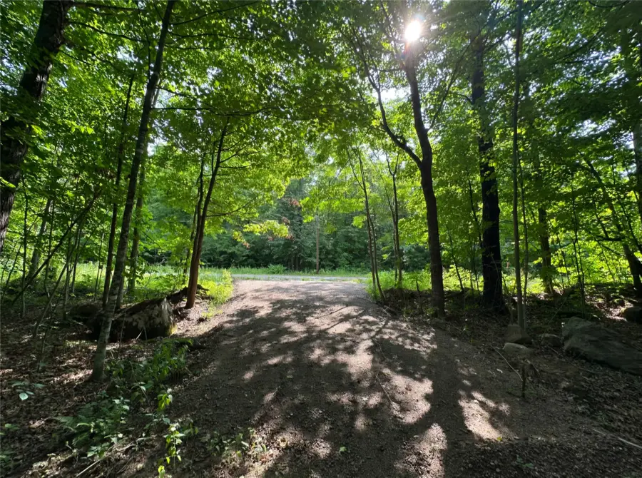 Lot 5 Deer Lake Road, Exeland, WI 54835 - #2