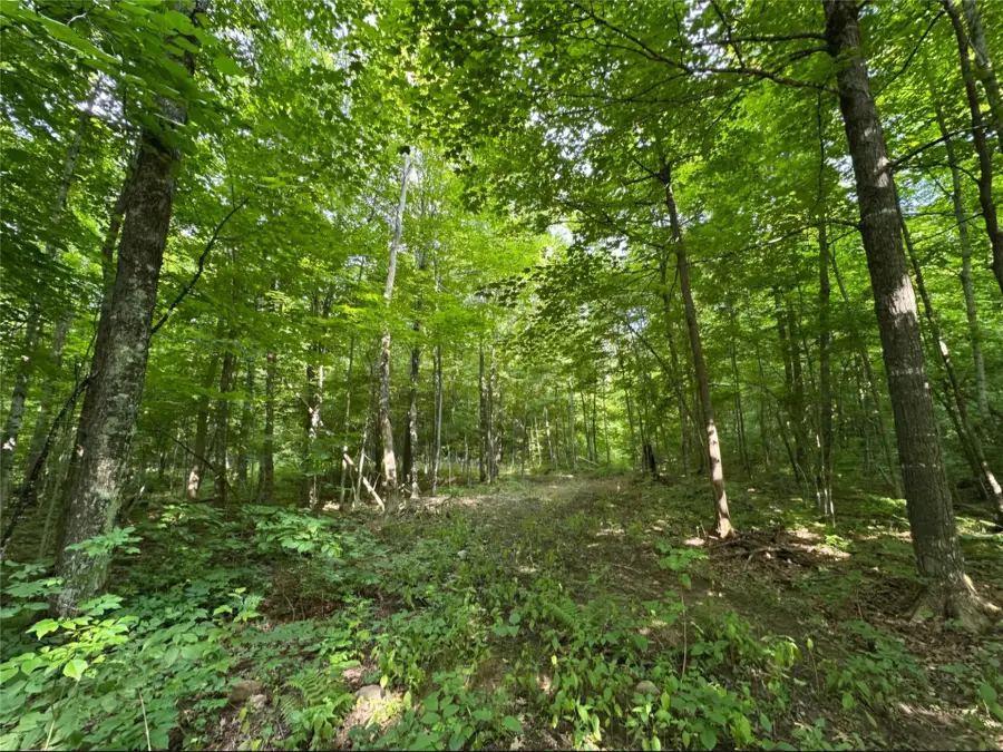 Lot 5 Deer Lake Road, Exeland, WI 54835 - #3