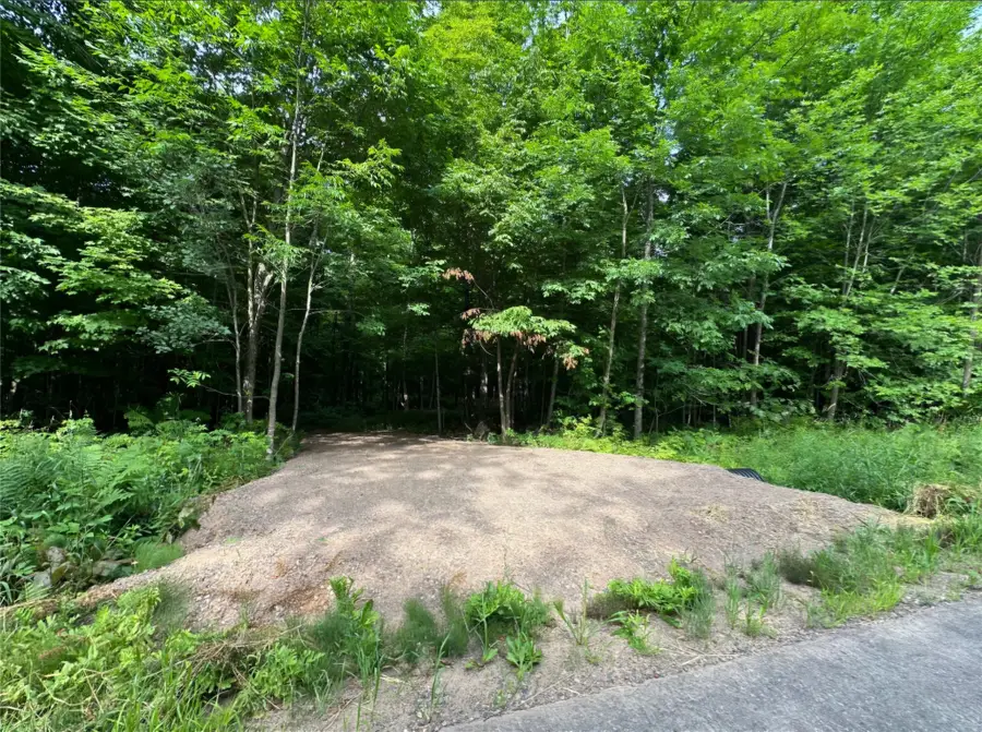 Lot 6 Deer Lake Road, Exeland, WI 54835 - #3
