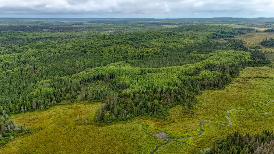 40 acres on Fr 1769, Cable, WI 54821 - #2