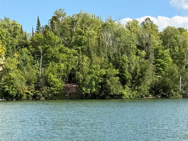 XXX Long Lake Road, Stone Lake, WI 54876