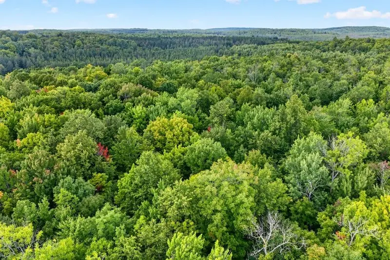 20 Acres State Highway 77, Hayward, WI 54843 - #3