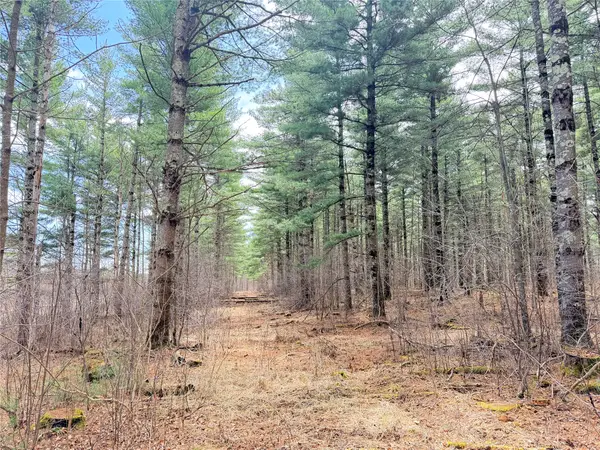 0 Star Lake Road, Rice Lake, WI 54868