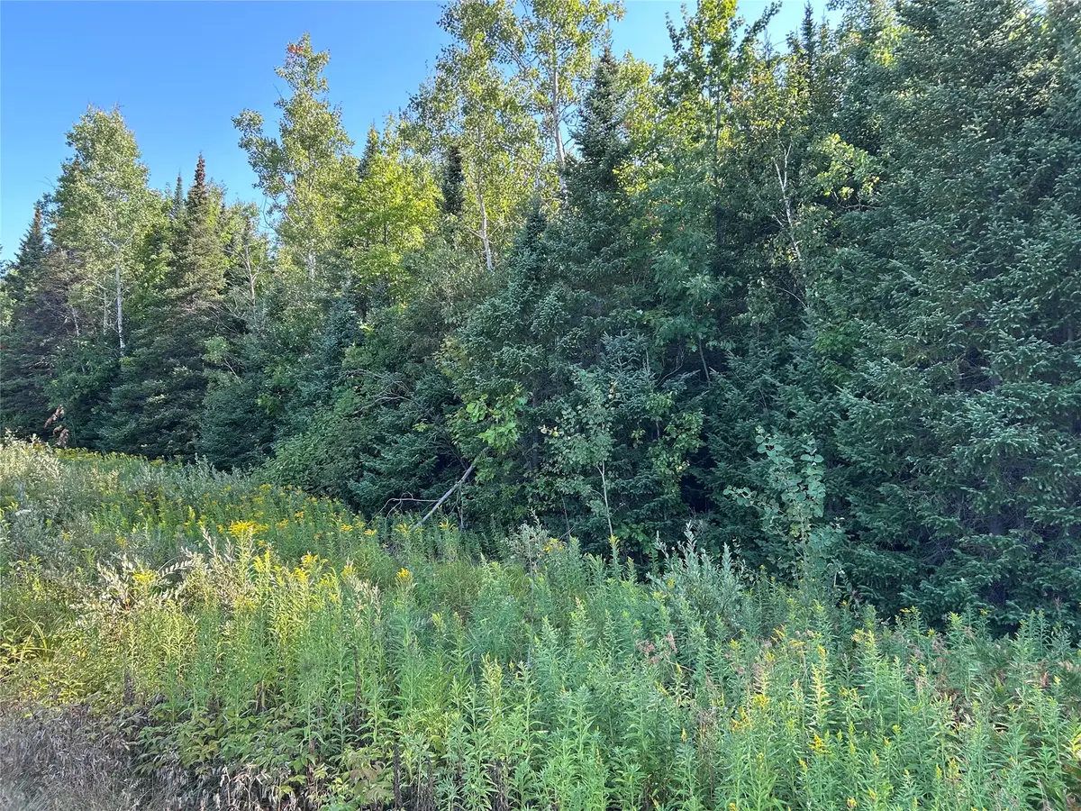 On Highway 53, Lake Nebagamon, WI 54849 - #1