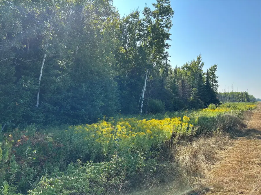 On Highway 53, Lake Nebagamon, WI 54849 - #2