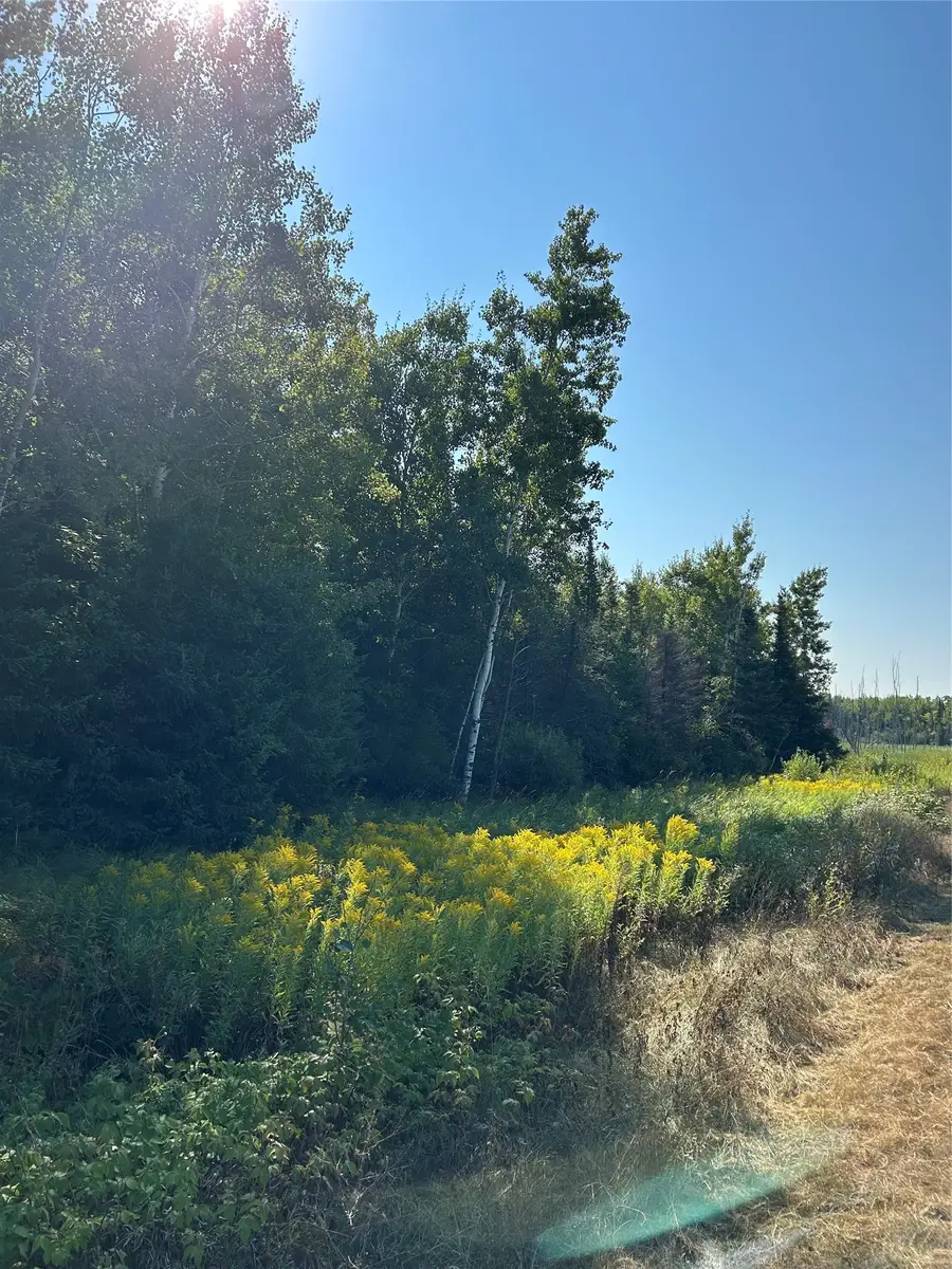 On Highway 53, Lake Nebagamon, WI 54849 - #3
