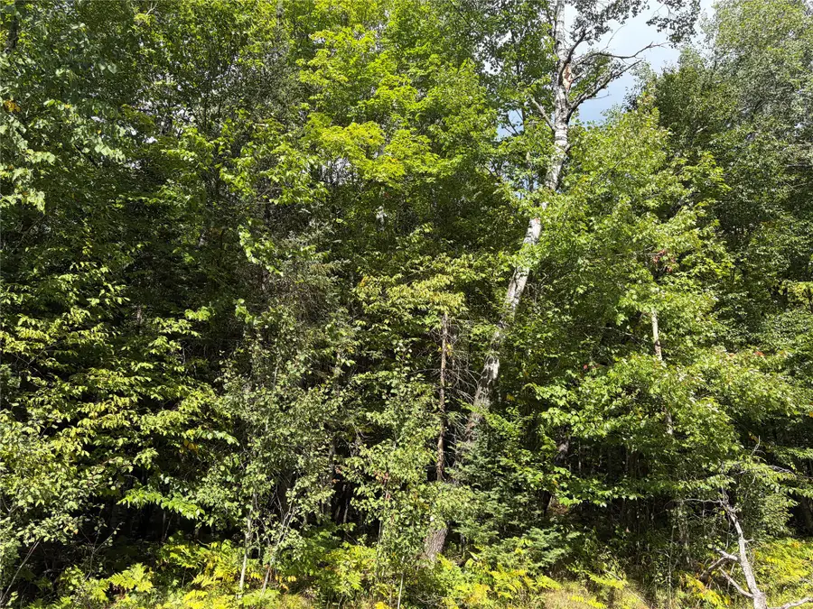 On Schwilk Road, Glidden, WI 54527 - #2