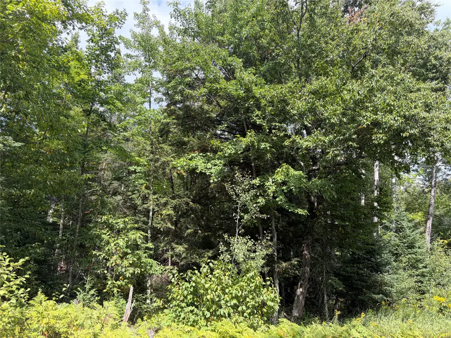 On Schwilk Road, Glidden, WI 54527 - #3