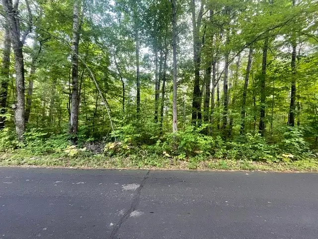 0 Dixon Avenue, Hayward, WI 54843 - #2