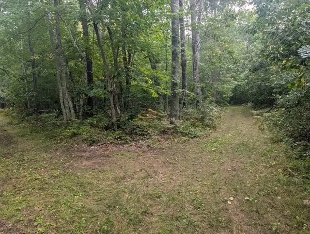 0 Ela Street, Trego, WI 54888 - #1