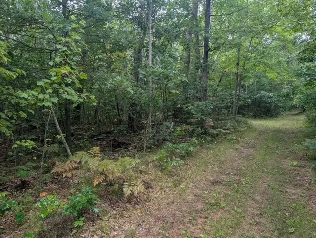 0 Ela Street, Trego, WI 54888 - #3