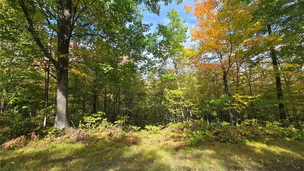 Lot 30 Woodcrest Drive, Cable, WI 54821