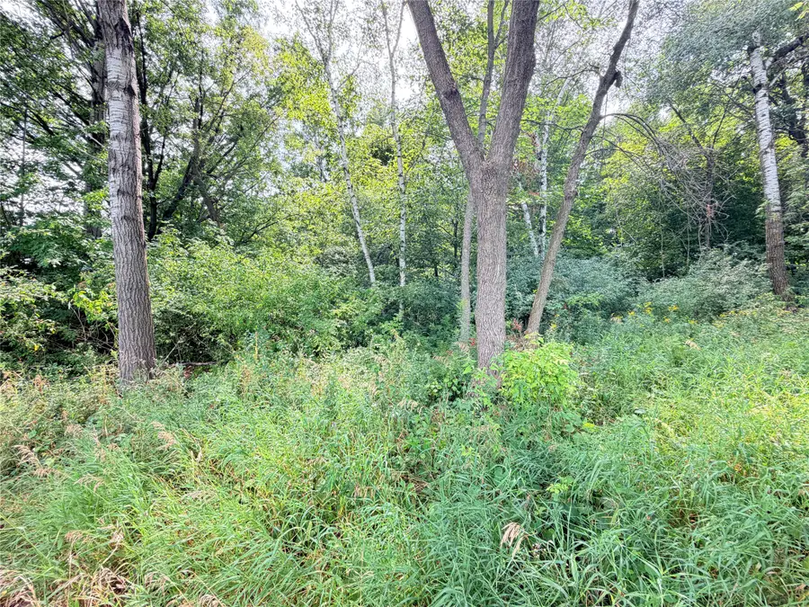 0 230th Street, Saint Croix Falls, WI 54024 - #3
