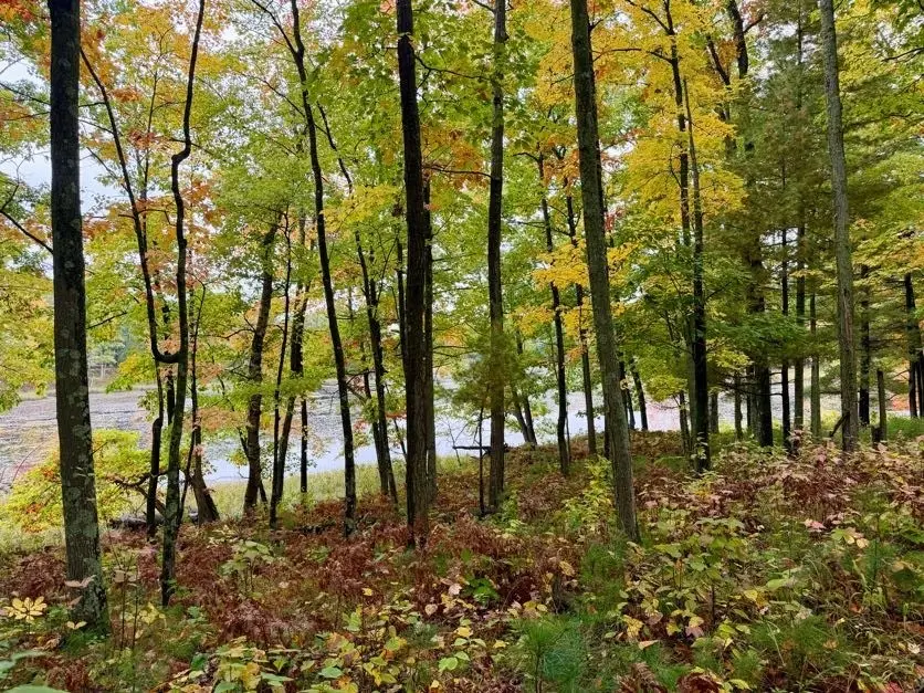 00 10 1/2-28 1/2, Barronett, WI 54813 - #1