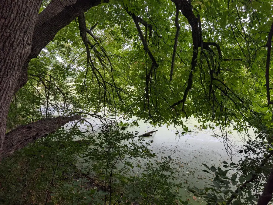 xxx E Birch Avenue, Barron, WI 54812 - #3
