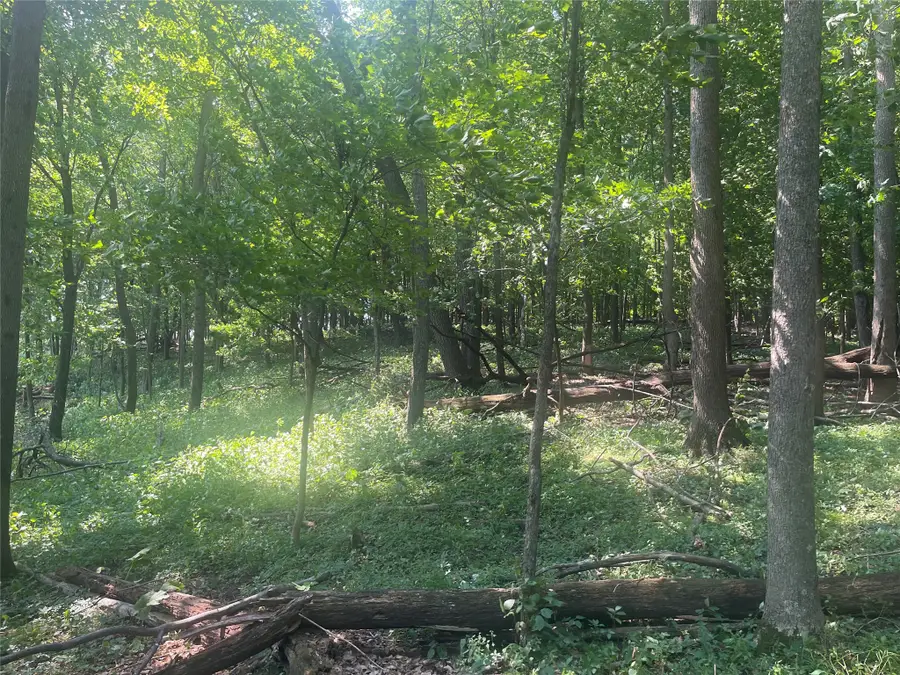TBD 190th Street, Centuria, WI 54824 - #2
