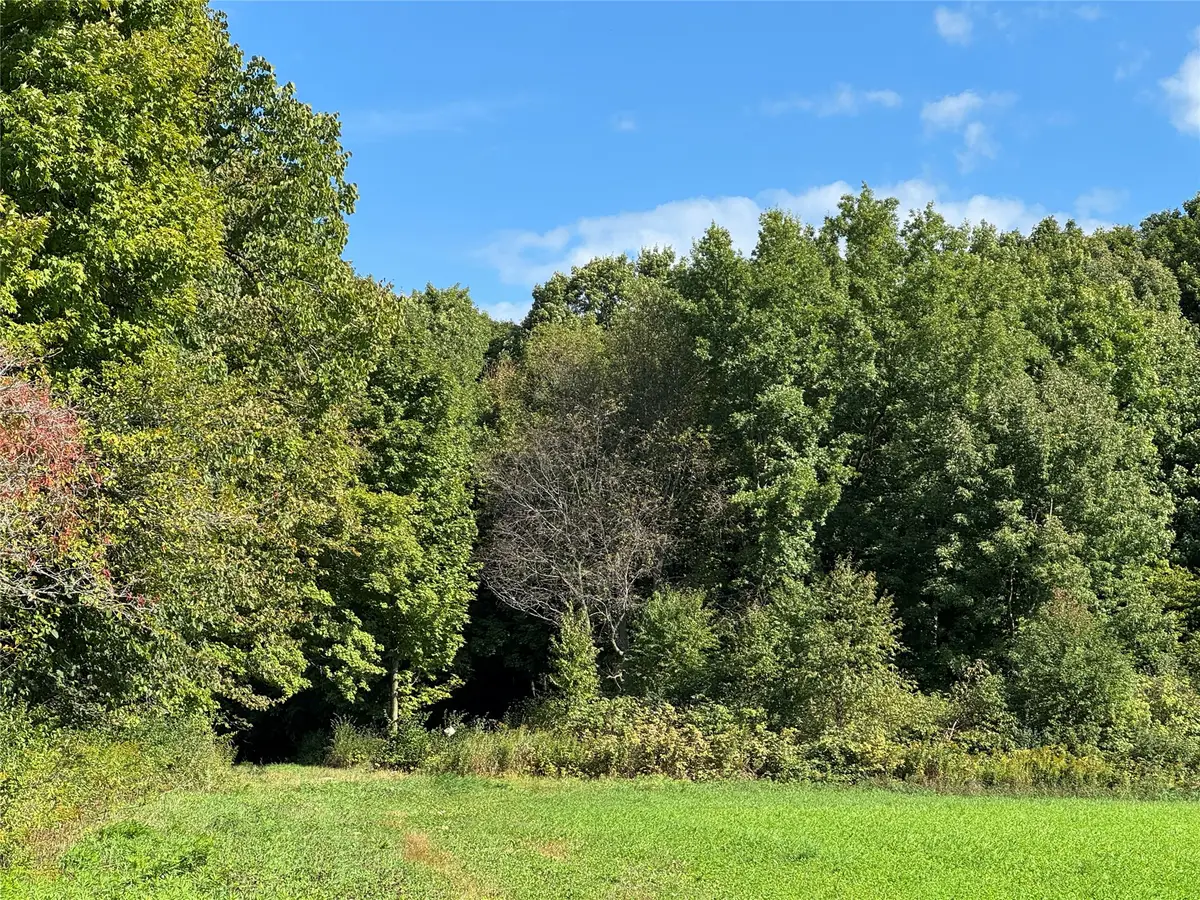OOO County Rd. L, Merrill, WI 54452 - #1