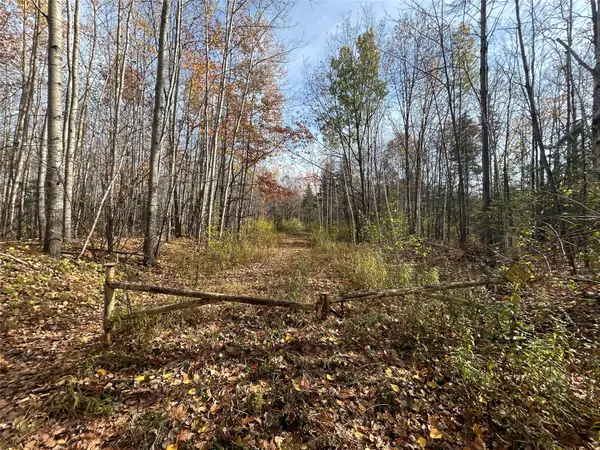 On Dean Road, Ladysmith, WI 54848