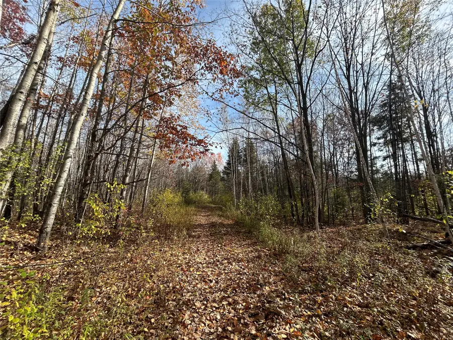 On Dean Road, Ladysmith, WI 54848 - #2