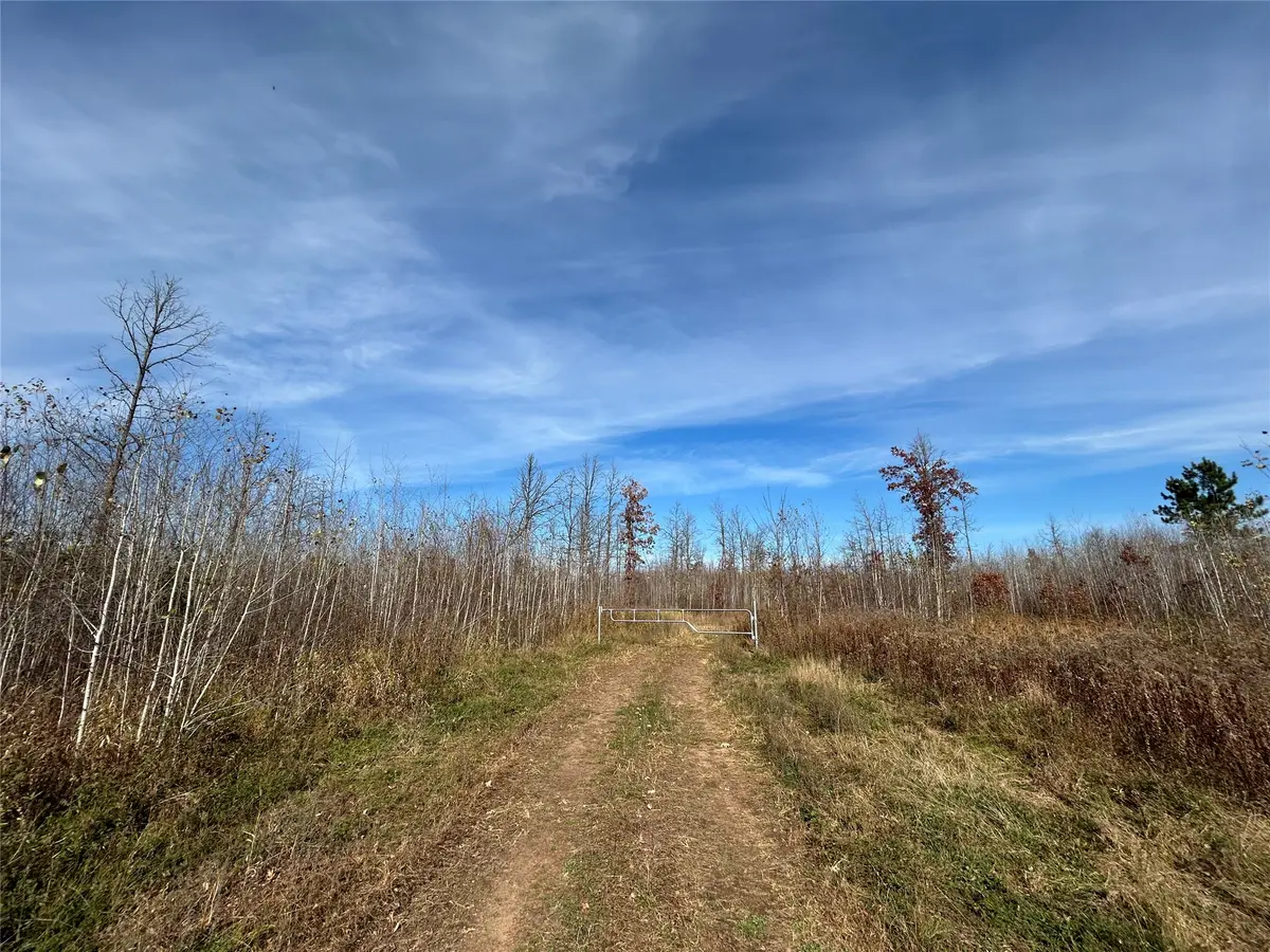 On Broken Arrow Road, Holcombe, WI 54745 - #1