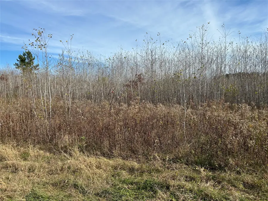 On Broken Arrow Road, Holcombe, WI 54745 - #3
