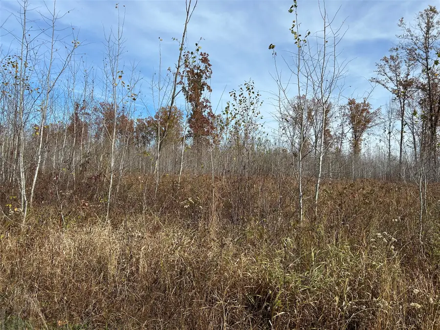 On Broken Arrow Road, Conrath, WI 54731 - #3