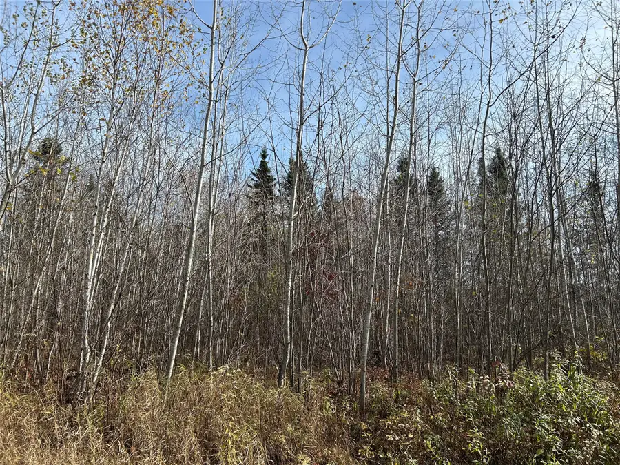On Sheep Camp Road, Ladysmith, WI 54848 - #2