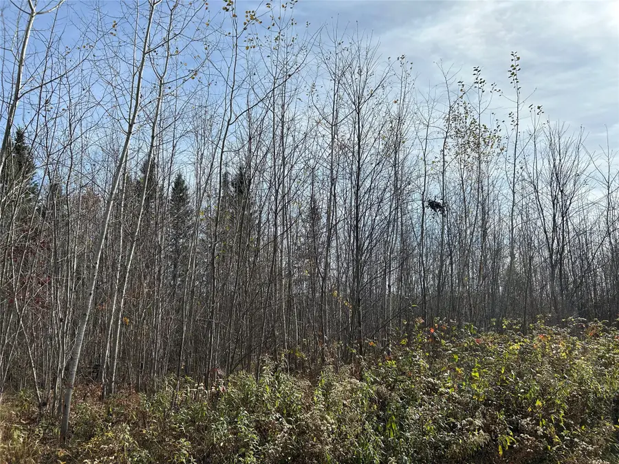 On Sheep Camp Road, Ladysmith, WI 54848 - #3