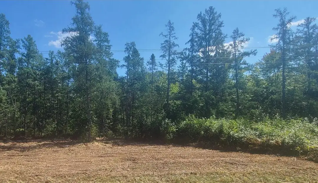 NA Hwy 77, Chicog, WI 60601 - #1